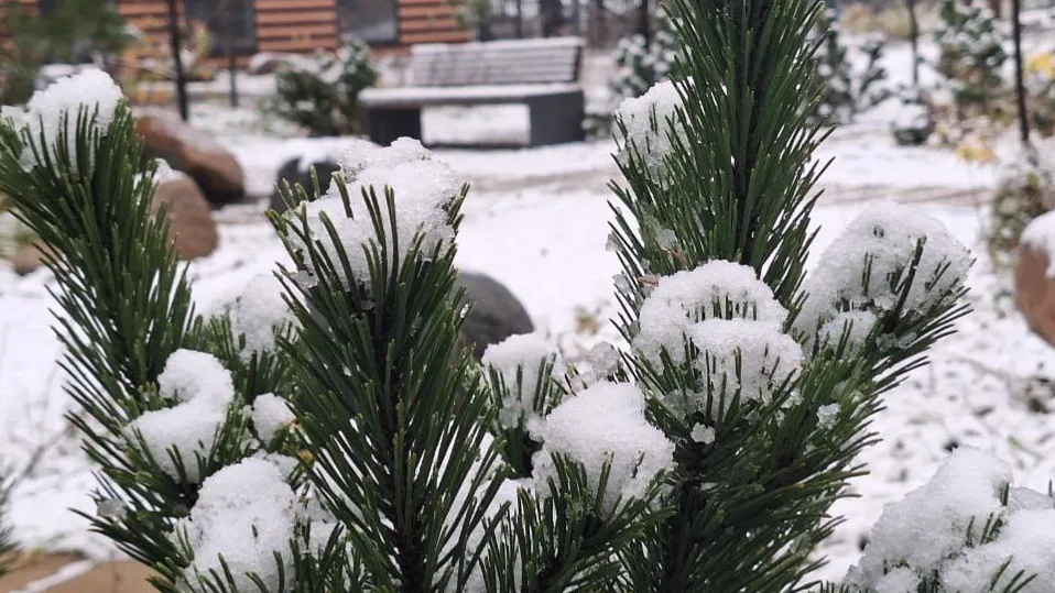 REGIONS/Катерина Антохина