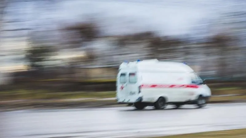 Фото: Freepik.com