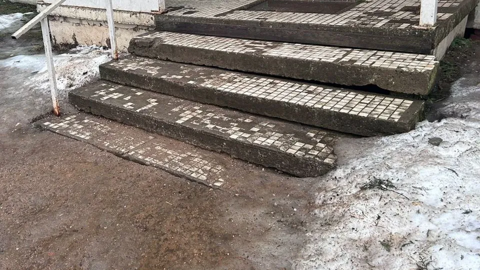 Фото: МЦУР Дмитровского муниципального округа