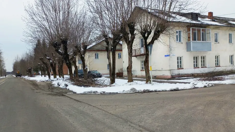 Фото: пресс-служба администрации Шатурского м.о.