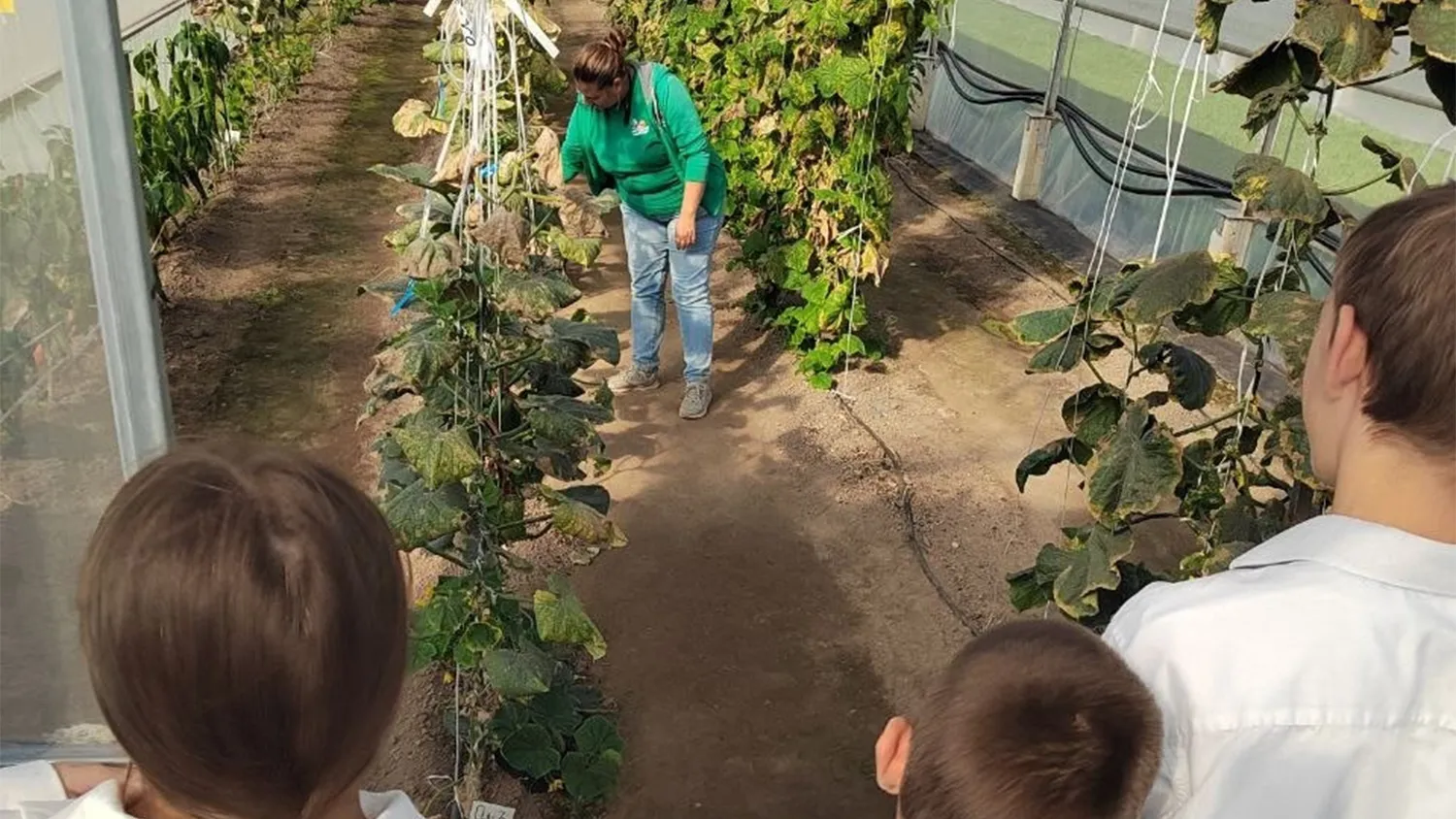 Фото: пресс-служба администрации м.о. Зарайск