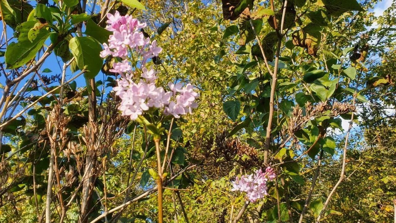 фото: соцсети