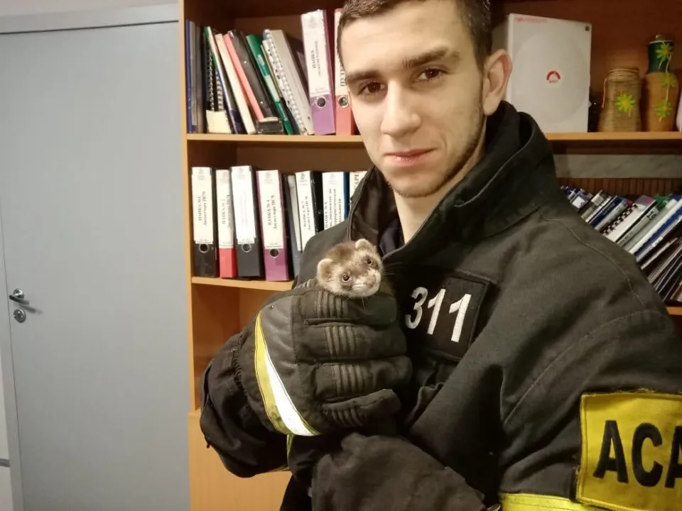 Фото: ГКУ МО «Мособлпожспас»