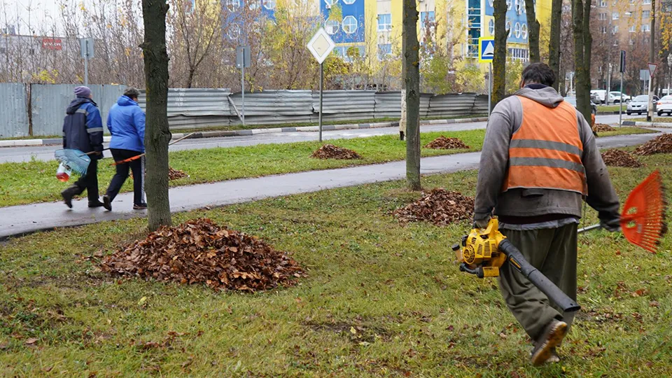 Фото: Медиабанк Подмосковья/Екатерина Елисеева