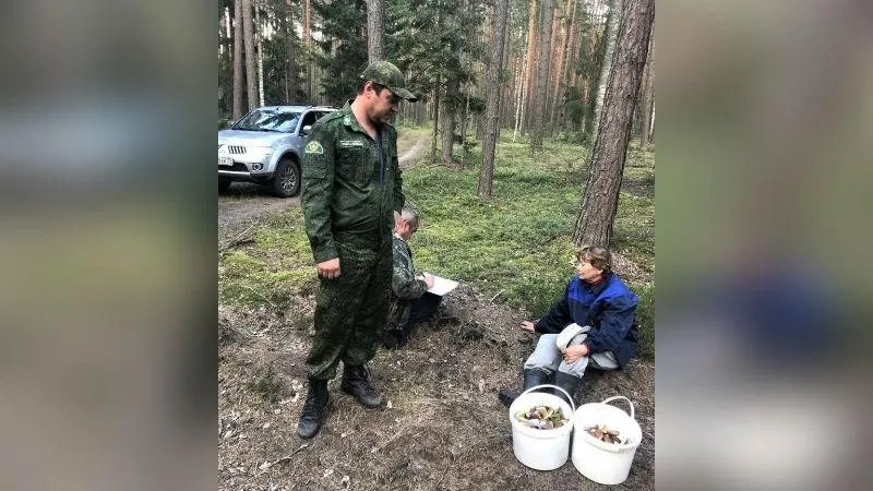 Свыше 1 тысячи человек заблудились в лесах Подмосковья в июле