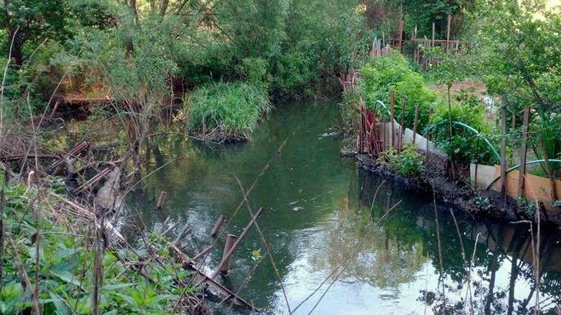 Пресс-служба Министерства экологии и природопользования Московской области