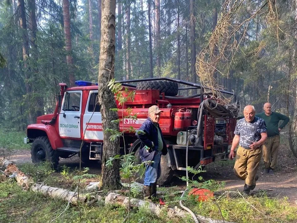 Фото: Комитет лесного хозяйства Московской области