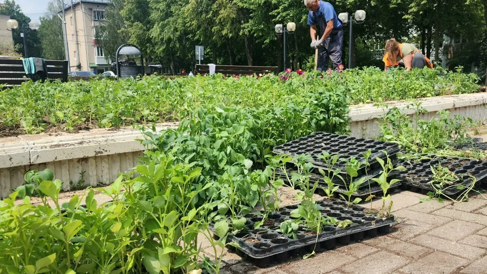 Фото: Мария Панина