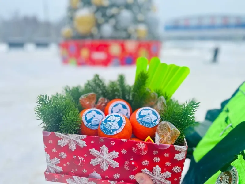 Фото: УВД г.о. Воскресенск