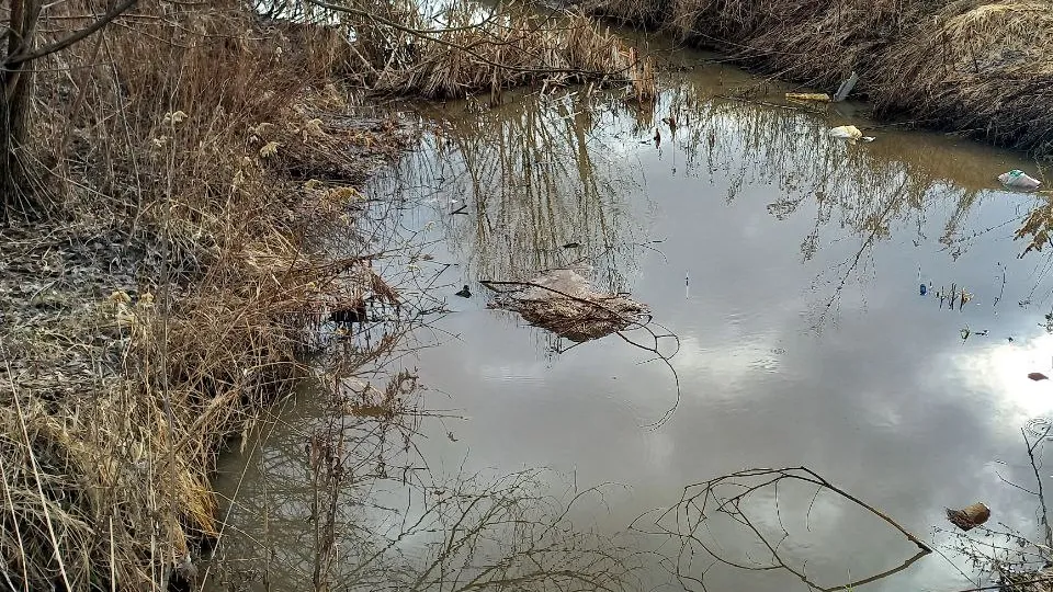 Фото: REGIONS/Олег Книжник