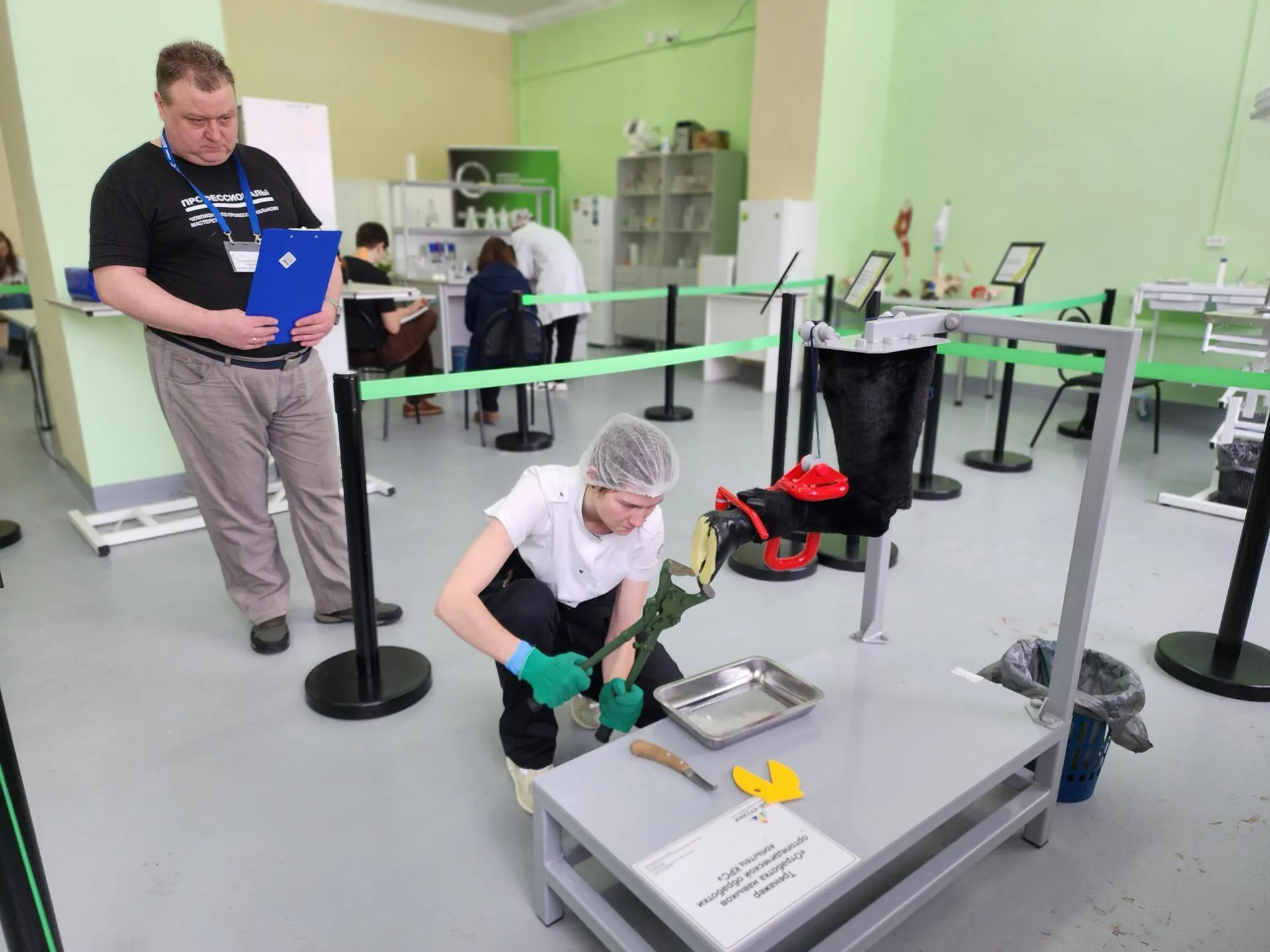 REGIONS/Елена Шумакова