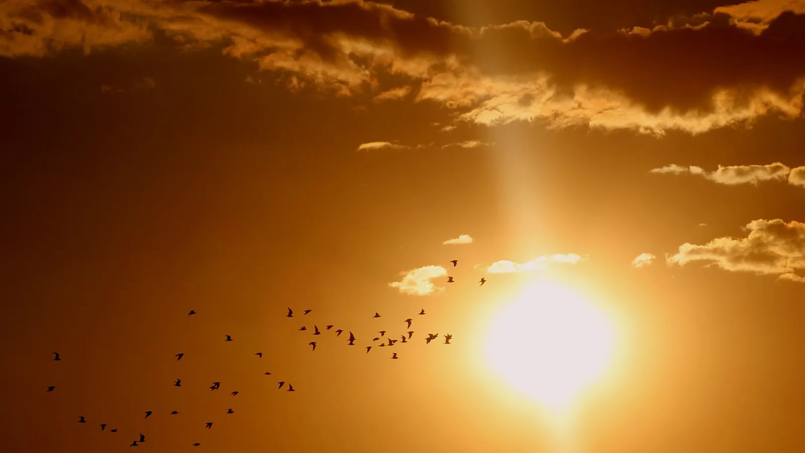 Фото: pxhere.com