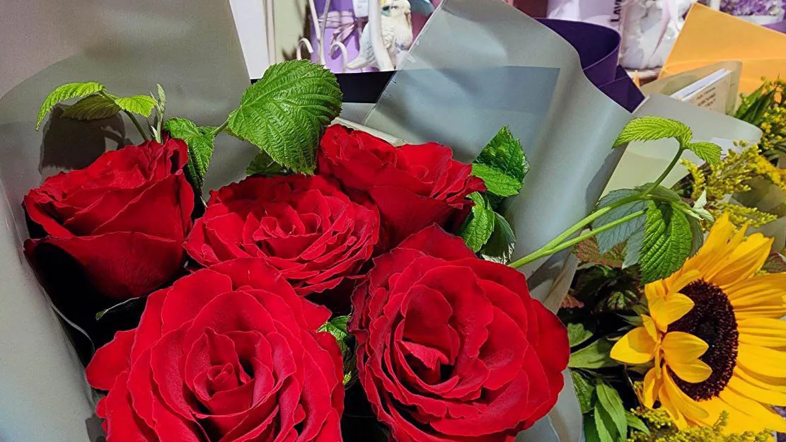 Фото: Валерия Тингаева