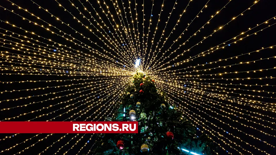 Фото: Юлия Андросова