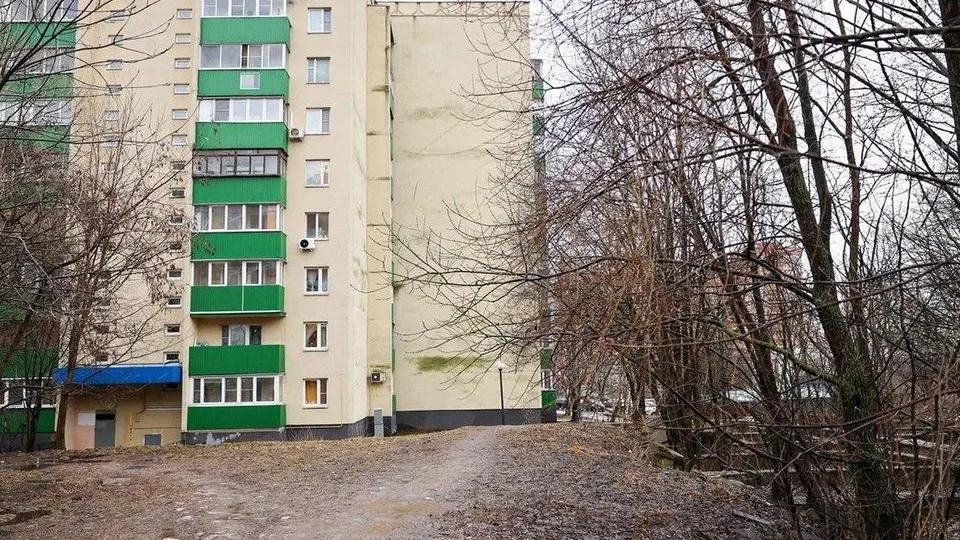 Фото: пресс-служба администрации городского округа Мытищи