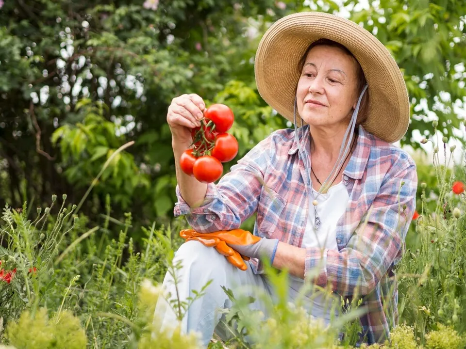 Фото: freepik.com