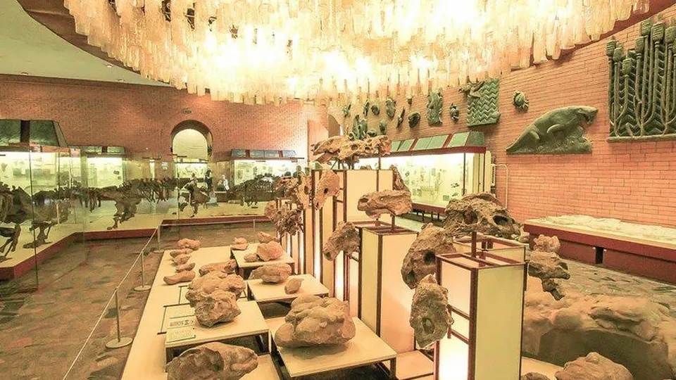 Фото: пресс-служба Администрации г.о. Лыткарино