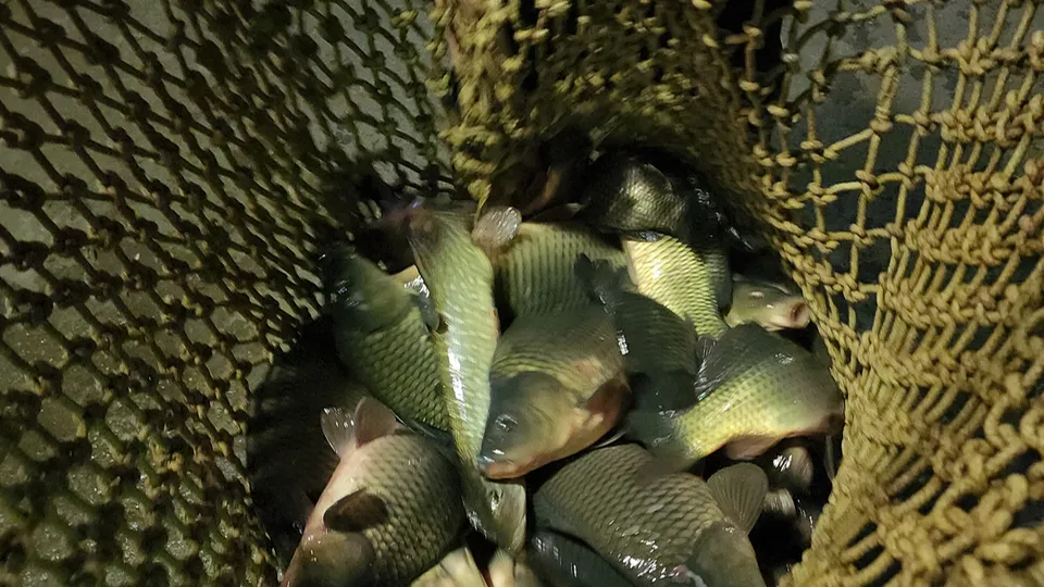 Фото: МедиаБанк Подмосковья/Юлия Андросова