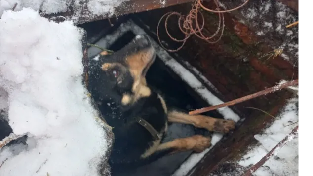 Фото: Светлана Панова