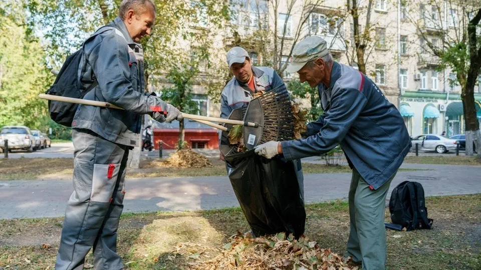 Фото: медиасток.рф