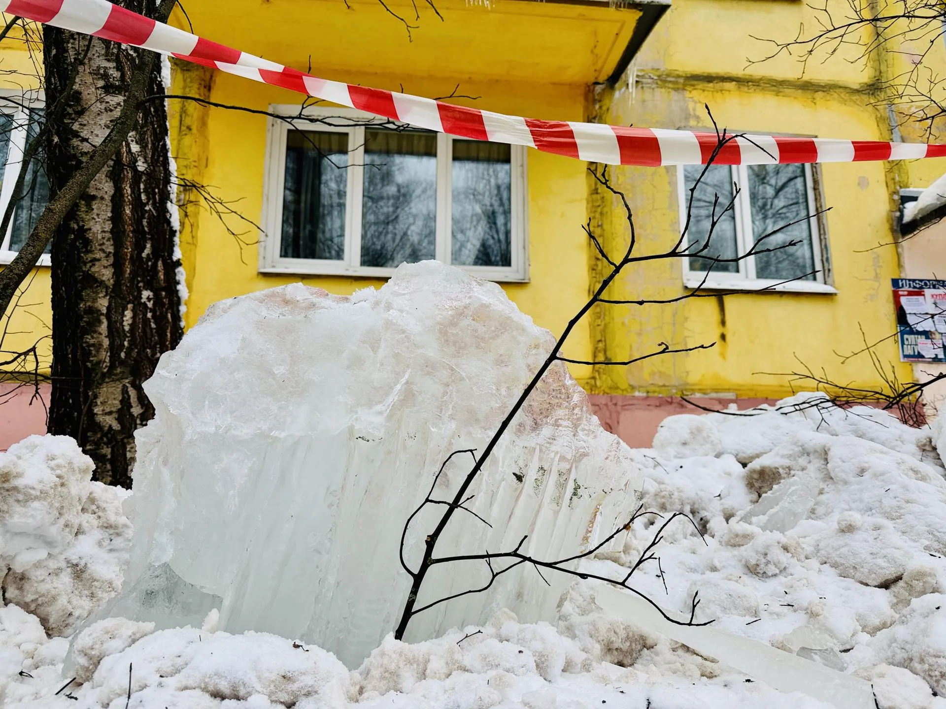 Фото: МедиаБанк Подмосковья/Ольга Стаферова