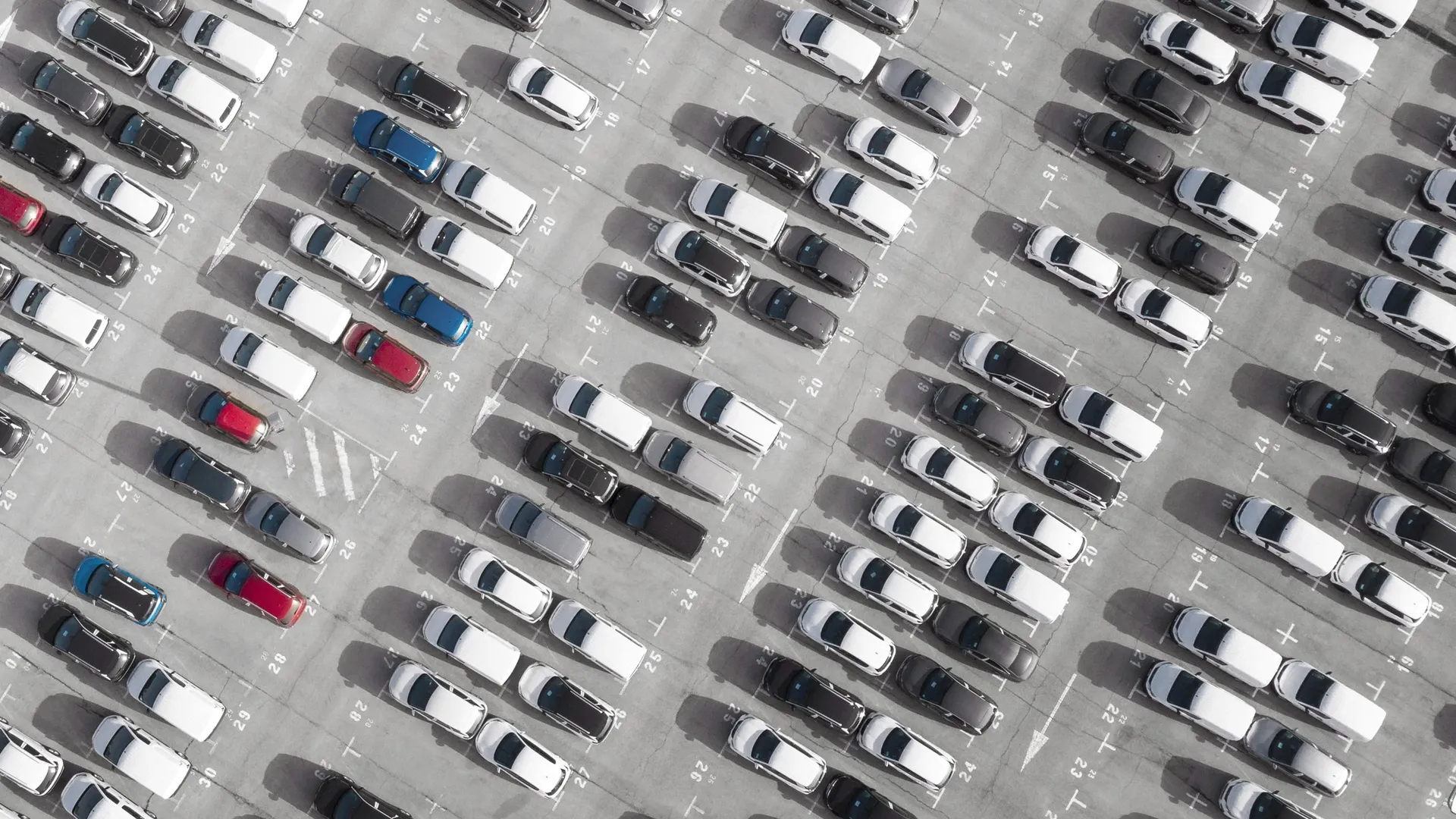 Фото: freepik.com