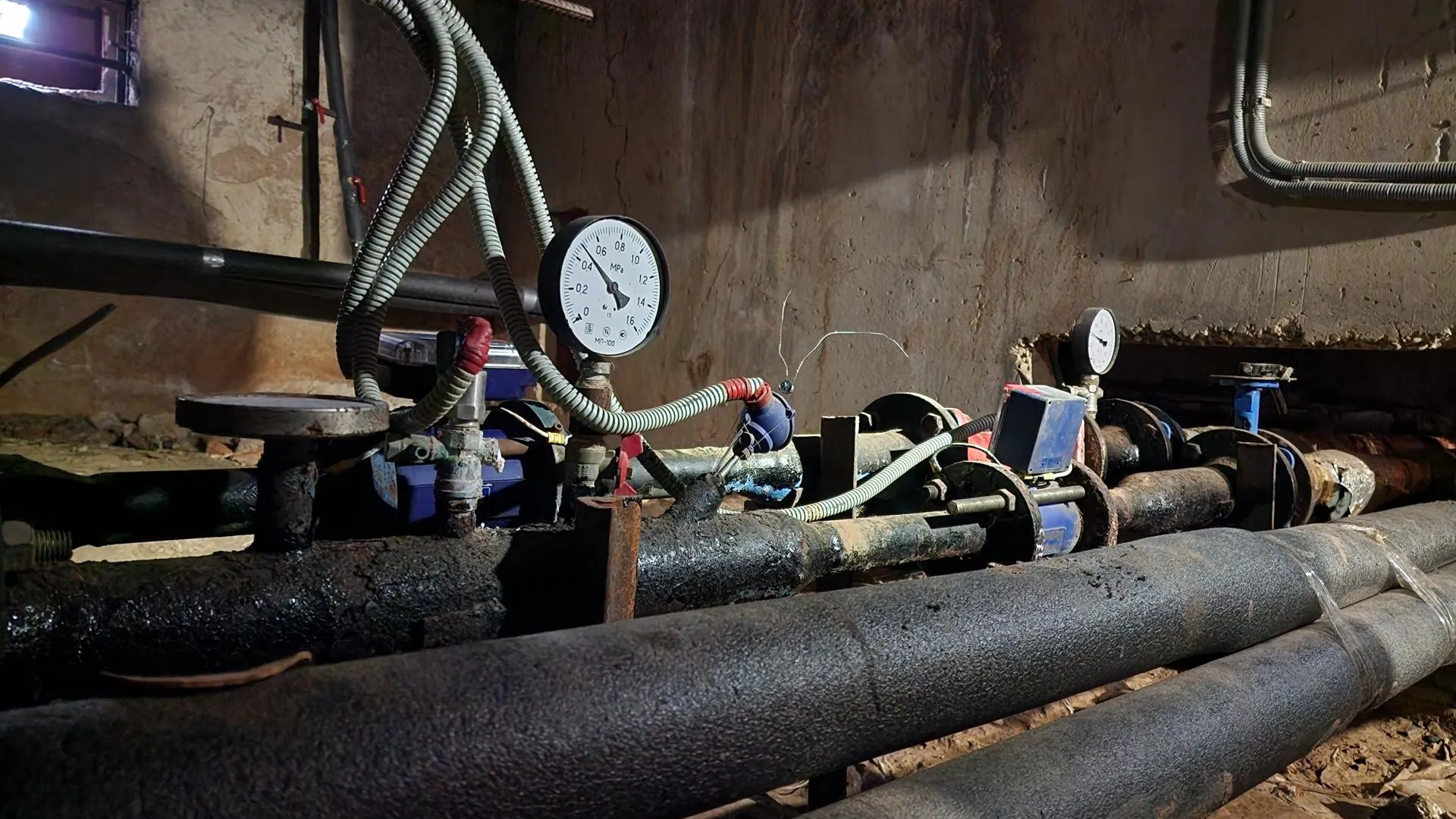 Фото: Мария Андрюхина