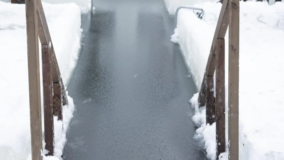 Фото: пресс-служба администрации г.о. Ленинский