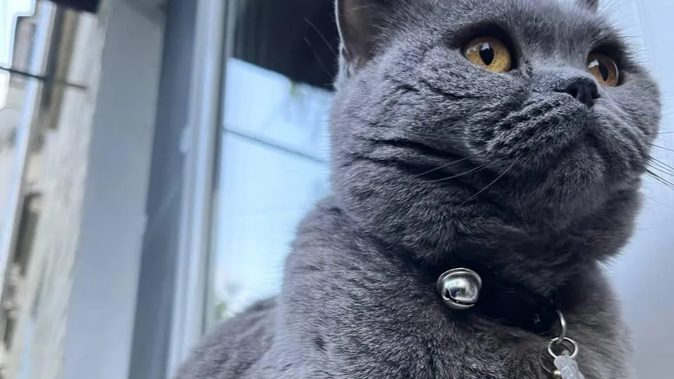 Фото: Виктория Рябова