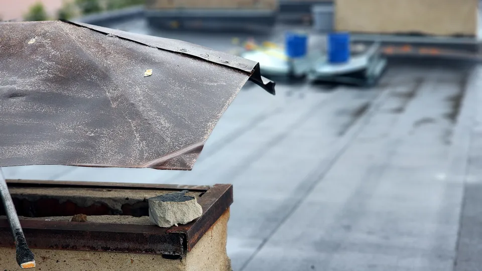 Фото: МедиаБанк Подмосковья/Полина Пахомова