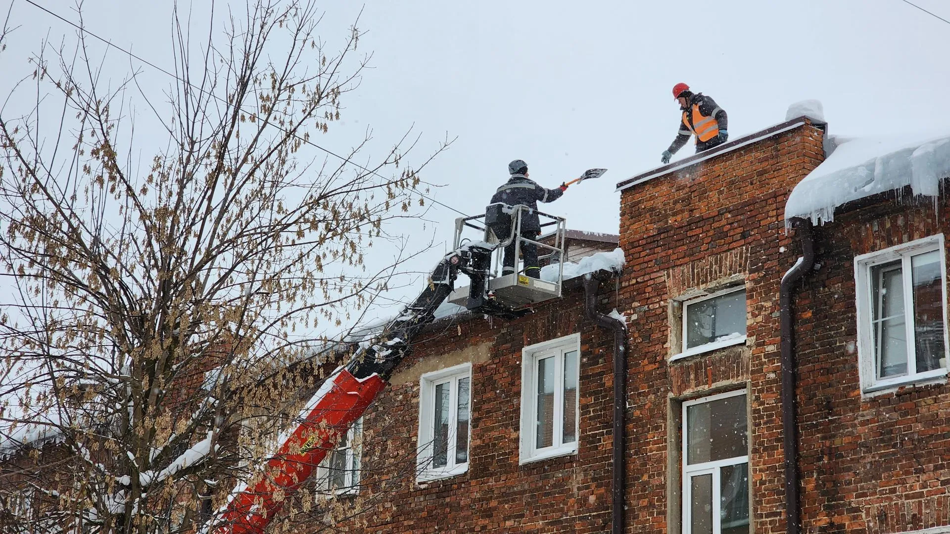 REGIONS/Евгений Рой