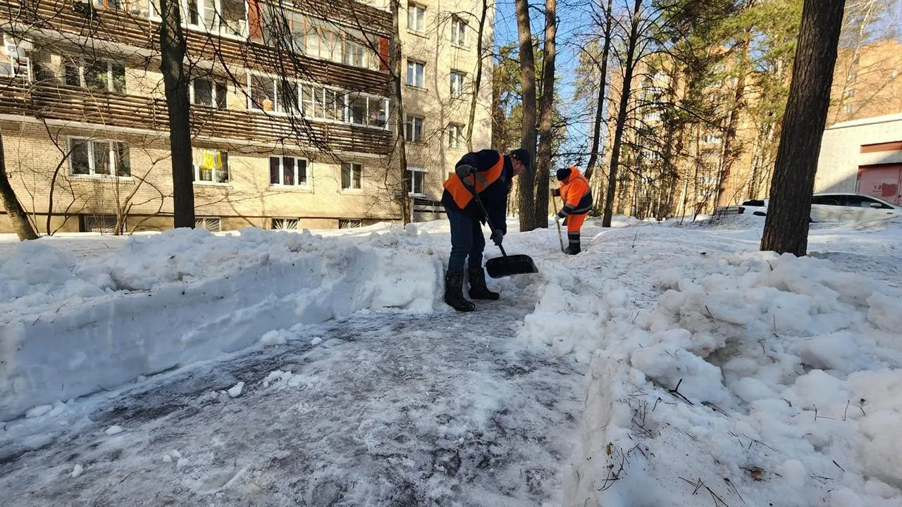 REGIONS/Анна Мороз