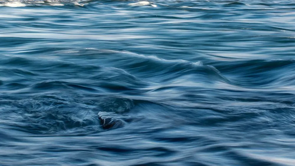 REGIONS/Дмитрий Некрасов