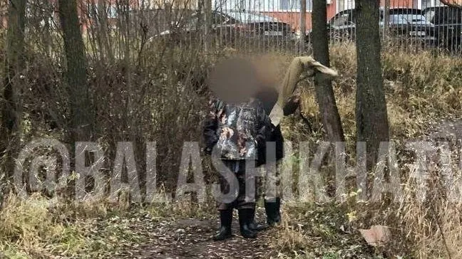 Двое неизвестных в Балашихе устроили охоту на уток прямо в городе