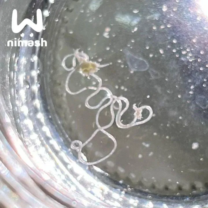 Фото из соцсетей