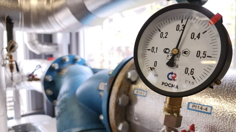 Фото: МедиаБанк Подмосковья/Ольга Сычёва