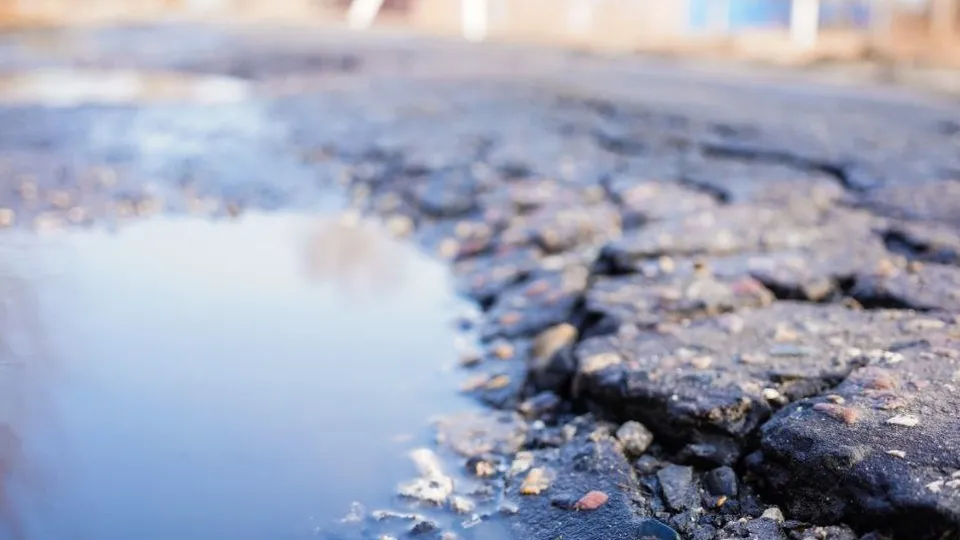 Фото: администрация м.о. Шатура