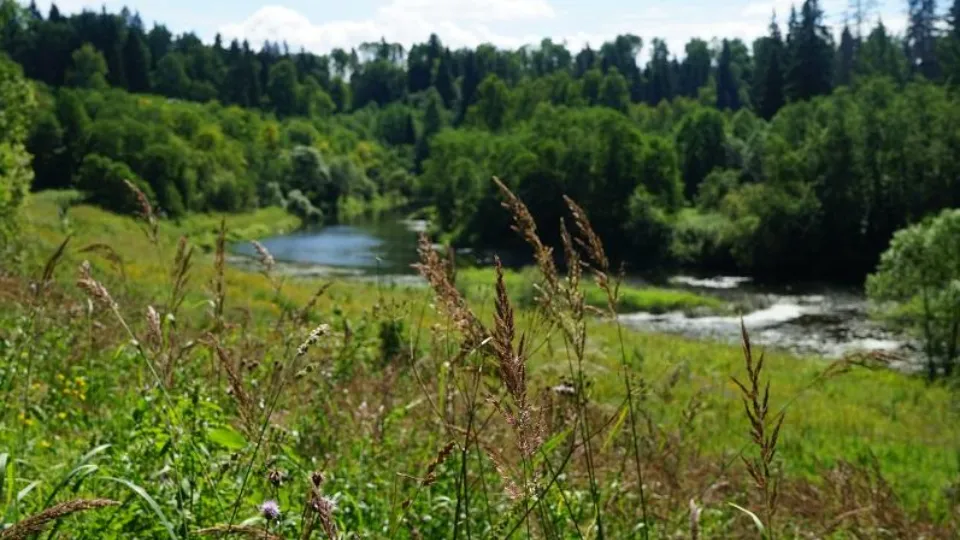 Фото: Министерство экологии и природопользования МО