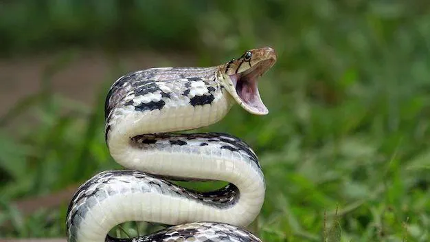 медиасток.рф