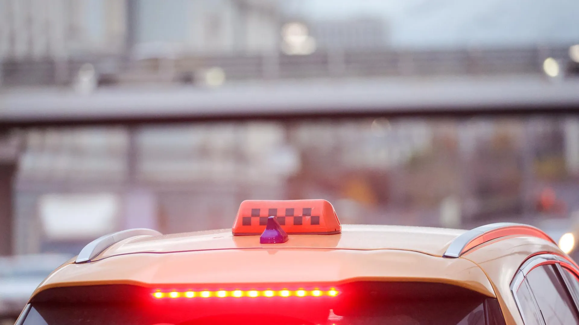 Shatokhina Natalia/news.ru