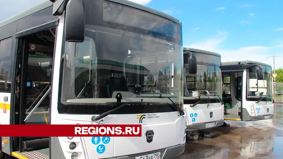 Фото: REGIONS/Василий Тремасов