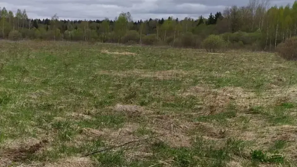 Фото: Единый портал торгов Московской области