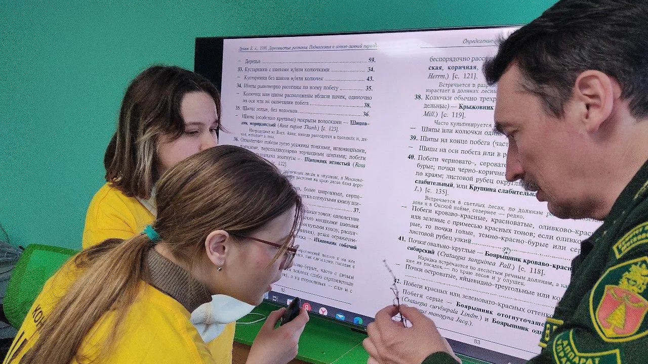 Фото: Комитет лесного хозяйства МО