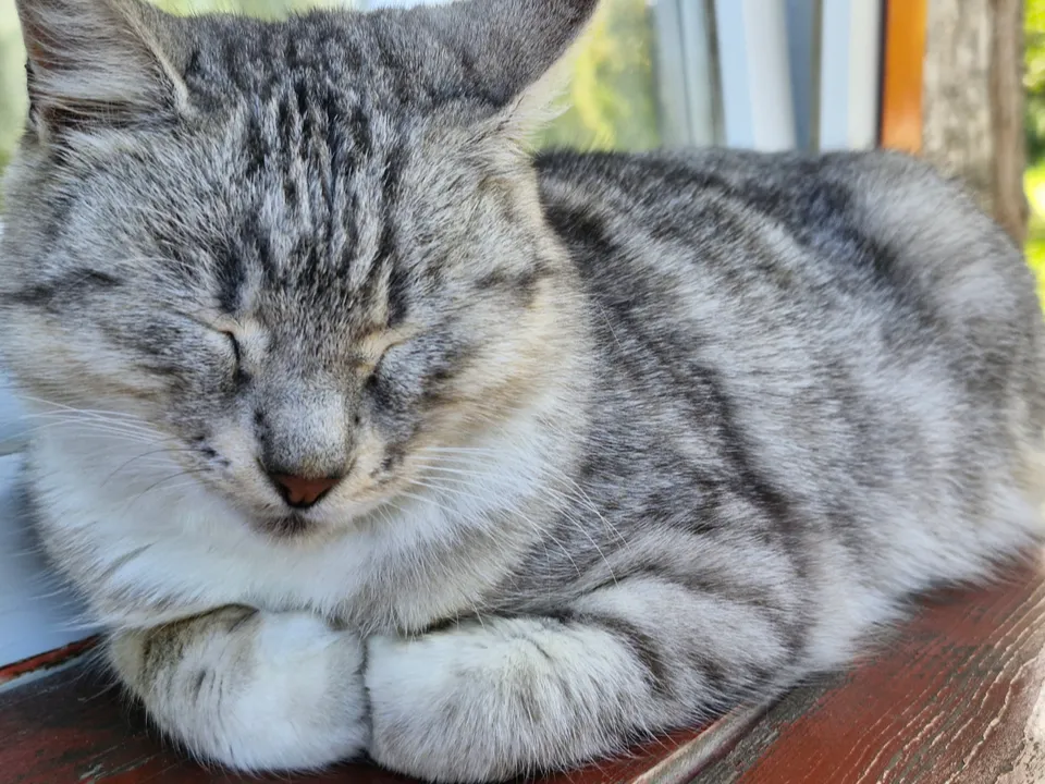 Фото: REGIONS/Наталия Надточая