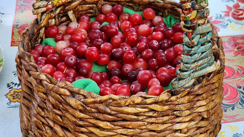 Фото: REGIONS/Юлия Андросова