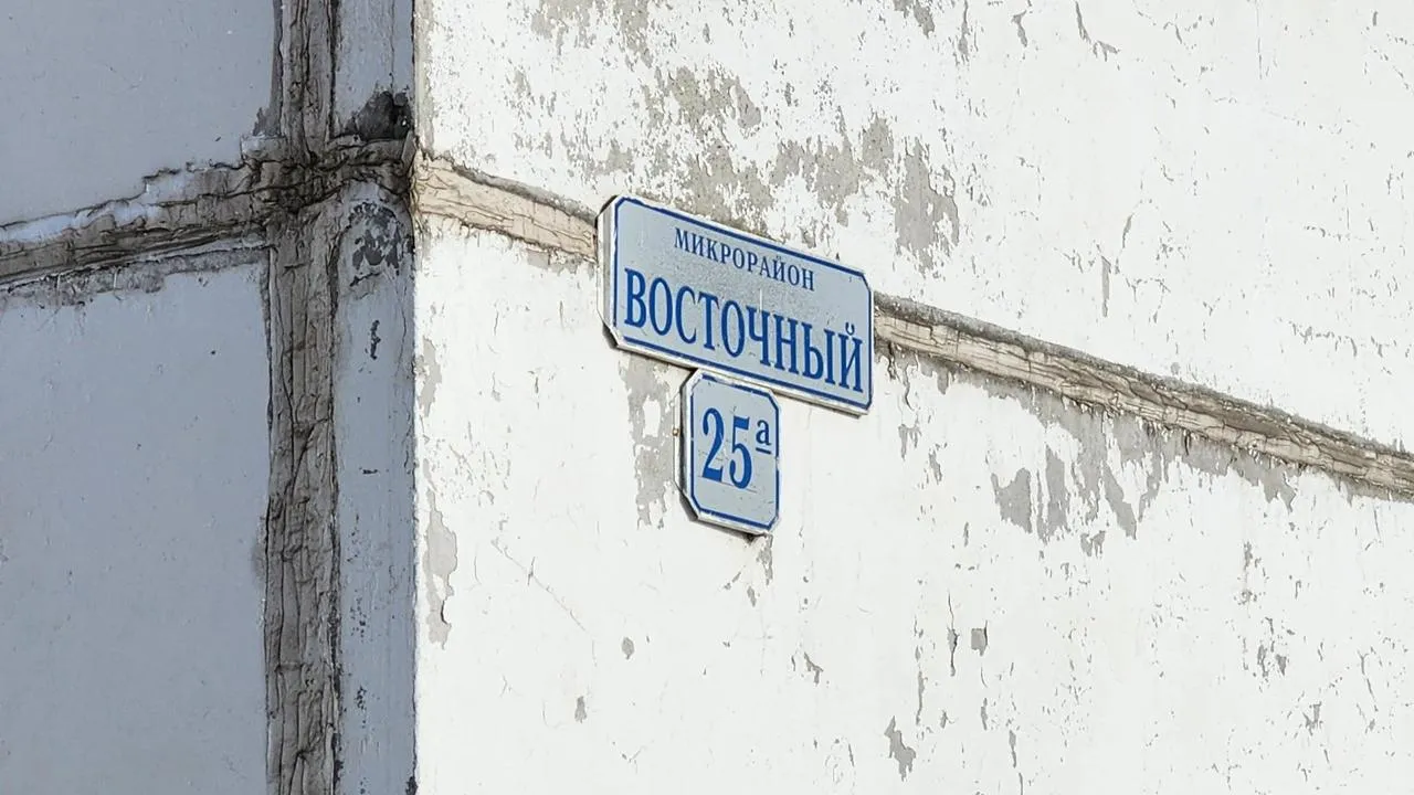 МедиаБанк Подмосковья/Екатерина Данилина