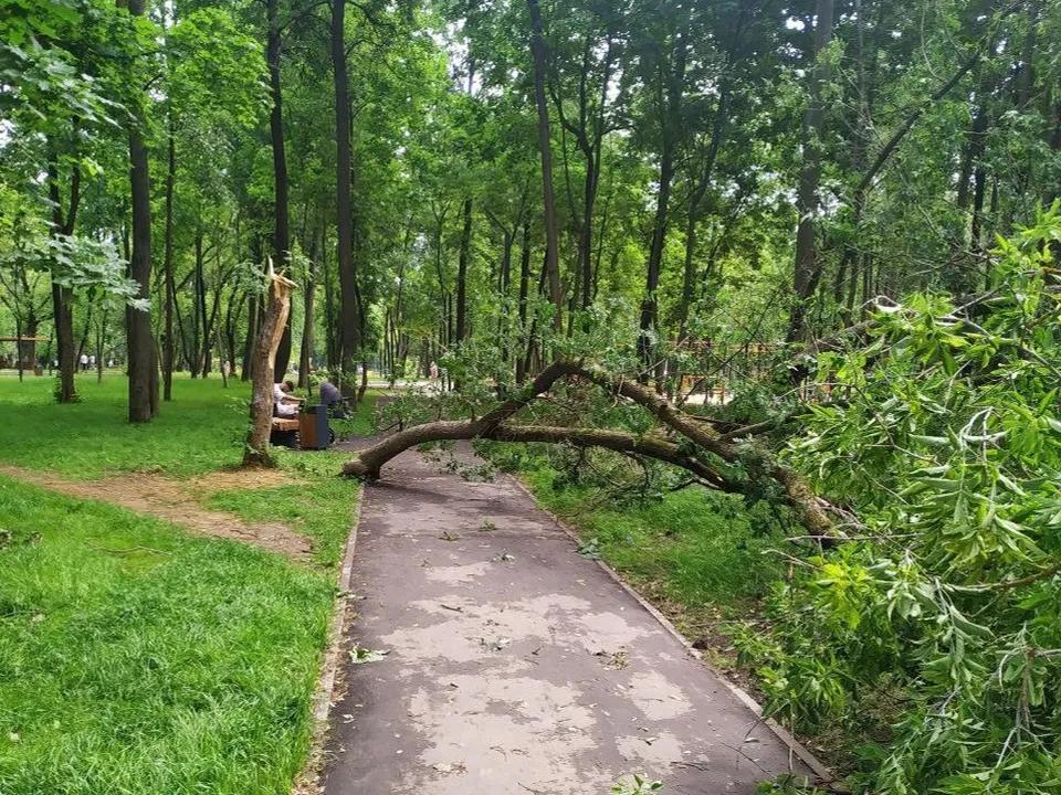 Фото: t.me/podolsk24life