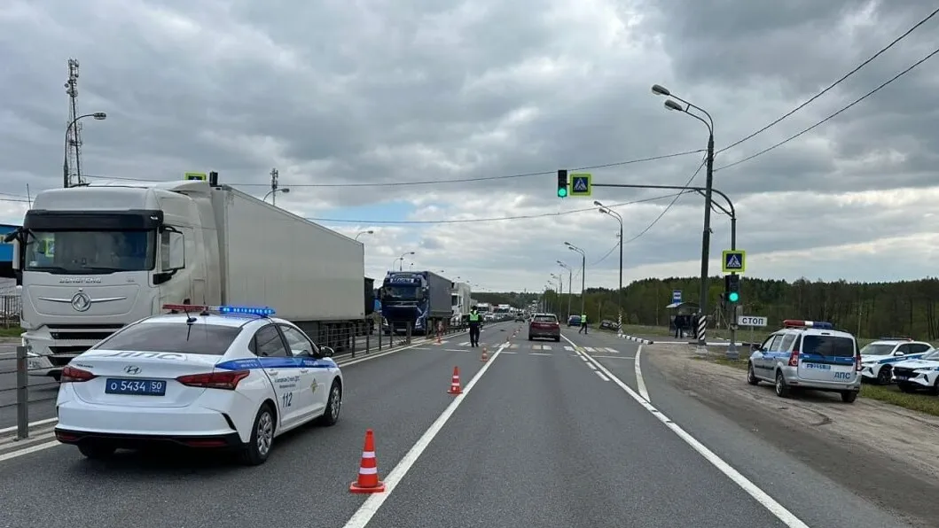 Фото: пресс-служба ГУ МВД по Московской области