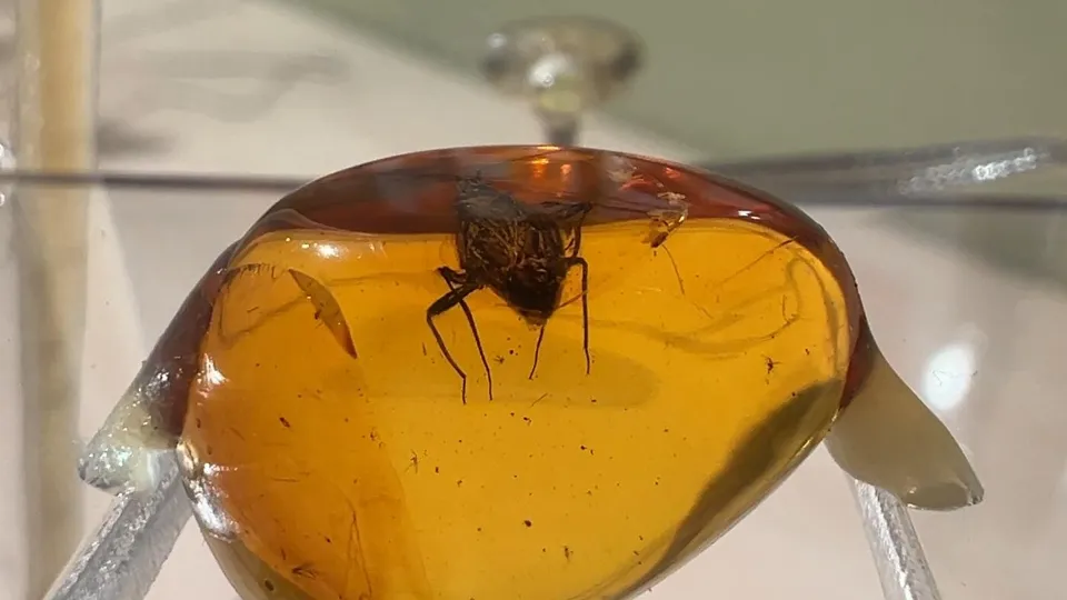 Фото: Виктория Фортуна