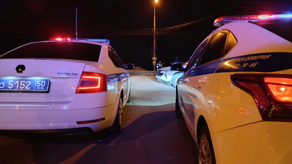 Фото: МедиаБанк Подмосковья/Ольга Антонова